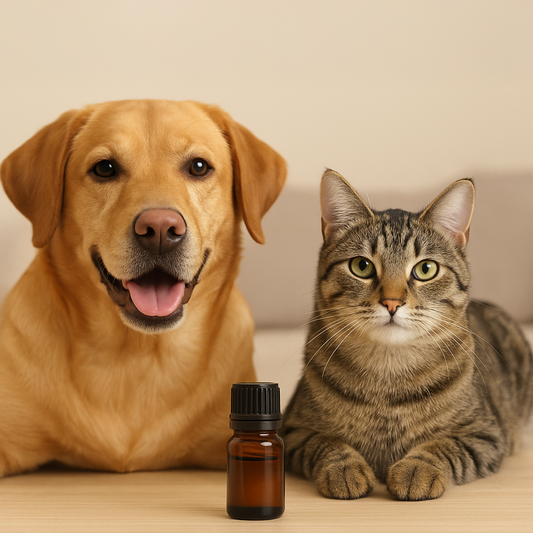 Essential Oils and Pets: Safe & Toxic Oils + Tips for Pet Owners